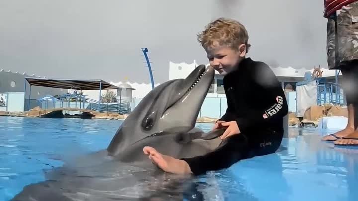 Дельфины очень милые существа. Сколько же в них любви к людям!!!!