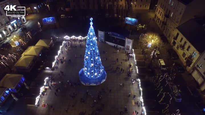 Чернівці, головна новорічна ялинка, панорама вечірньої Соборної площі