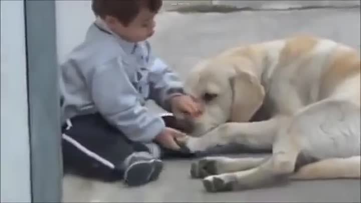Мальчик с синдромом Дауна и нежность собаки
