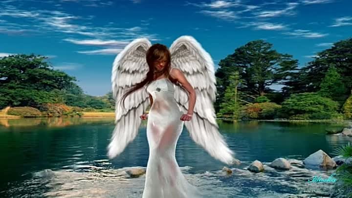 Chris Norman _ Wild wild Angel