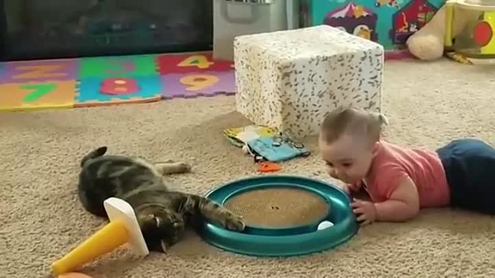 Дети и кошки смешное видео