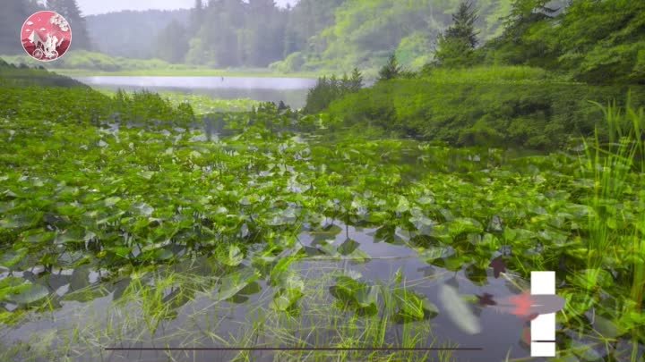 Собираюсь жить вечно