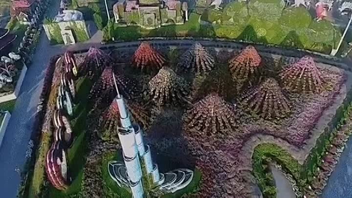 Dubai Miracle Garden  самый большой цветочный парк