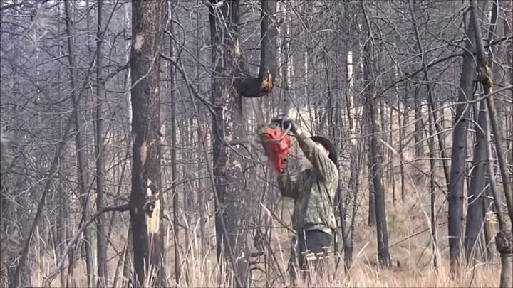 Это невероятно, что он сделал из обыкновенной ветки