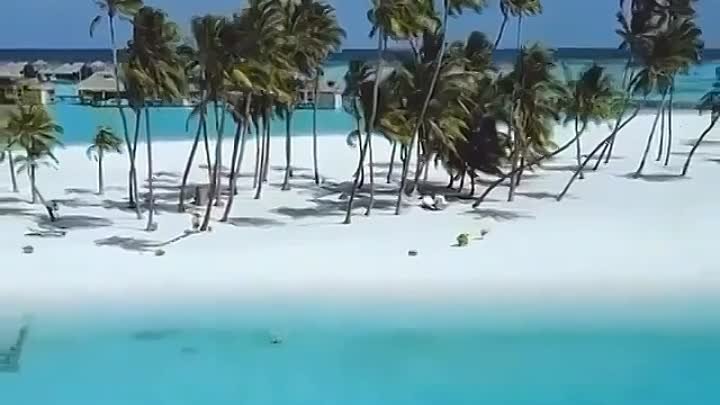 Предъставьте, что это вы бежите на Мальдивах и ныряете в море!😎