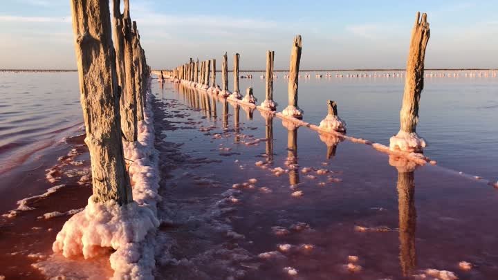 Соленое озеро в Крыму порозовело раньше