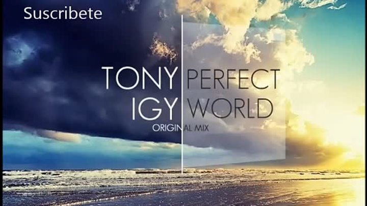 Tony Igy - Perfect World (Original Mix)