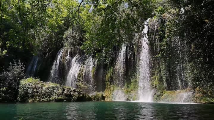 Водопад в лесу