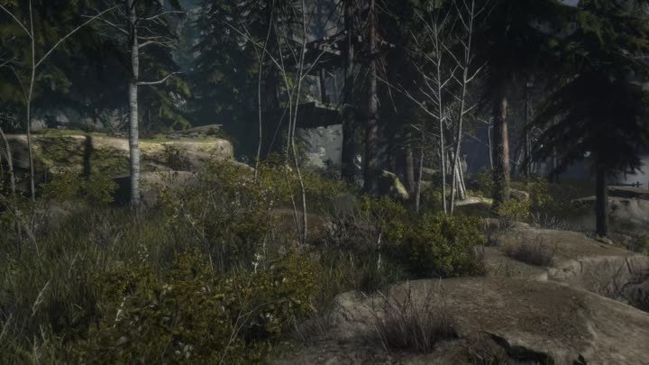 2015 Rise of the Tomb Raider_4K In-Game Benchmarks