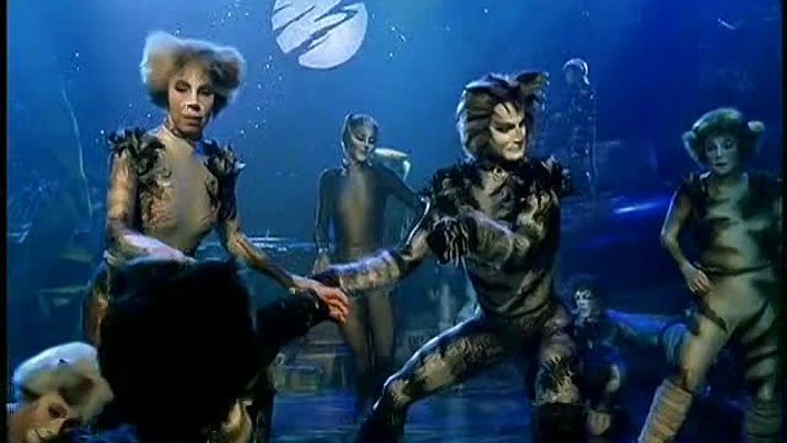 CATS The Musical 480p