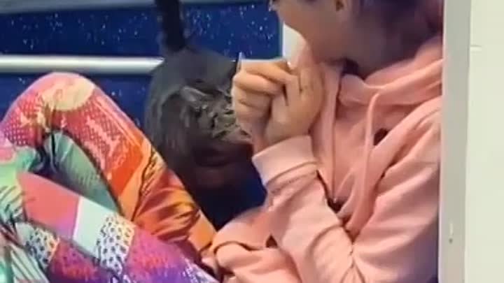 Кошка учит девушку нормально петь