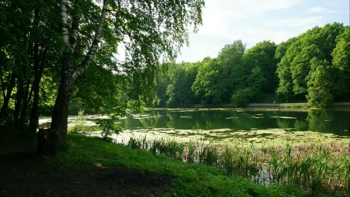 Щёлоковский хутор в Нижнем Новгороде