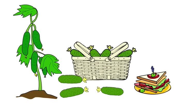 Мультфильм про овощи. Развивающие мультики для детей до 4-х лет