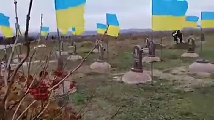 Итоги украинского национализма.в войне со своим народом