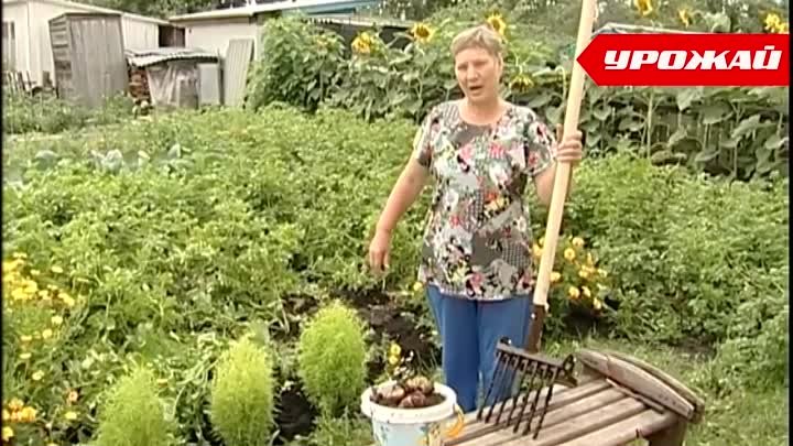 Инновационная лопата Урожай за 1490 руб.