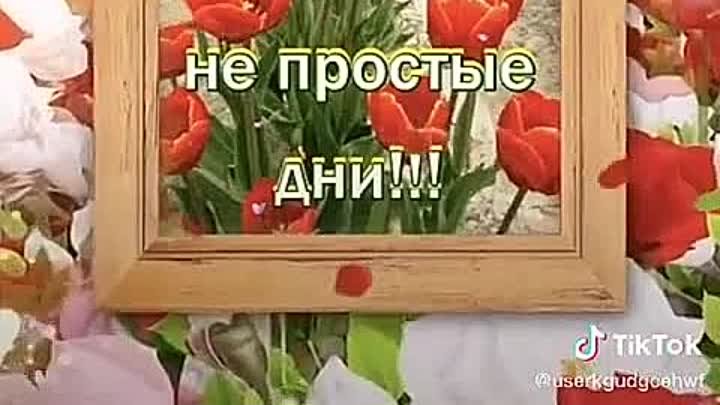 video_2725678353103.mp4