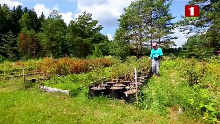 Нина Андреева в программе дача