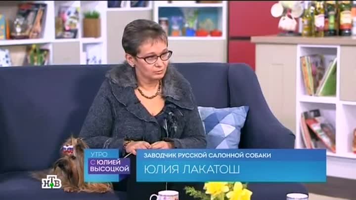 Русская салонная собака на канале НТВ