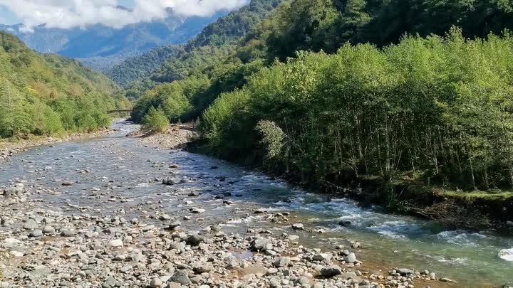 VID_20201004_125014.mp4 Абхазия горная река. Октябрь 2020 
