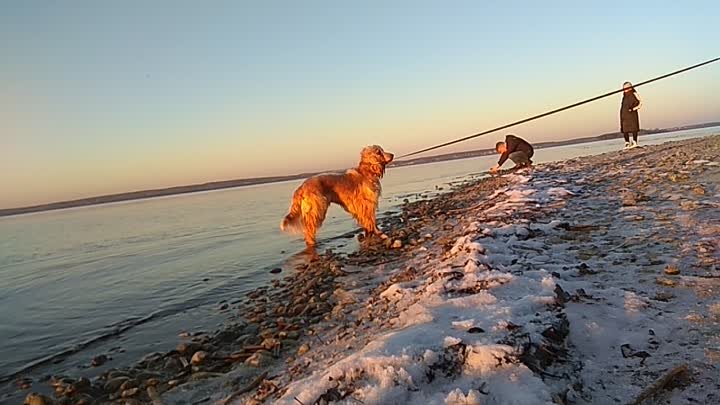 Жизнь зимой на озере. Масштаб как на море :) 