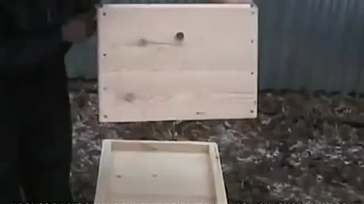 Начинающим пчеловодам. Фильм 1 (1)