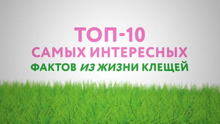 Интересные факты о клещах