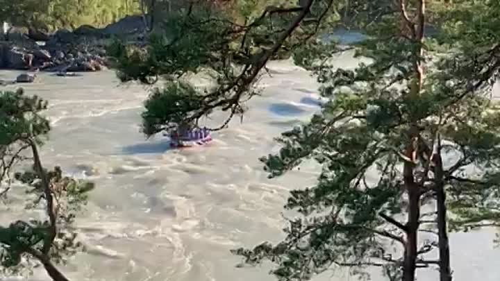 Сплав на Алтайских реках 🚣🏻‍♀️🚣🏾🌲🌳
