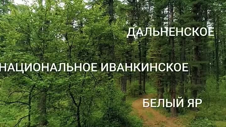 Видео_михайлов