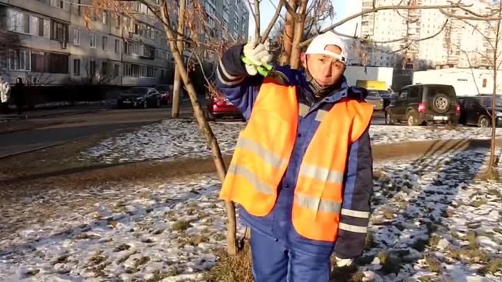 Дворники в Алтуфьево читают реп. 