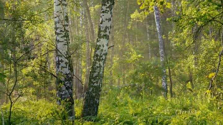 Скоро осень, Господа