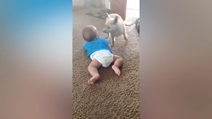 Funny Babies First Time Crawling Weird - Funny Baby Videos