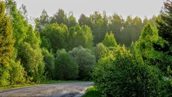 Вдали от улиц городских.