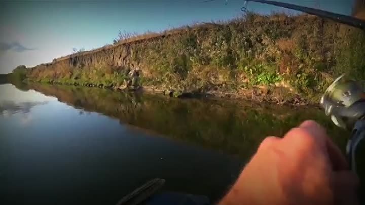 Изумительная рыбалка
