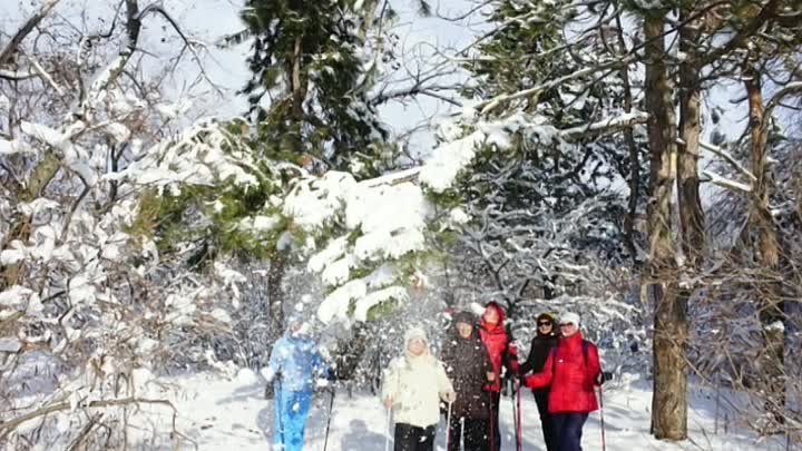 Снег, снежок  в Краснодаре, 16 января 2021 г.