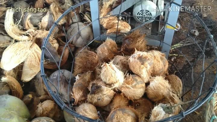 Máy bóc vỏ dừa đơn giản nhất