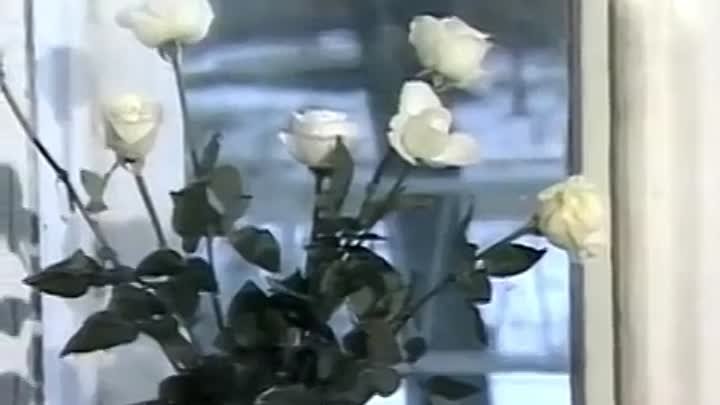 Юра Шатунов - Белые розы