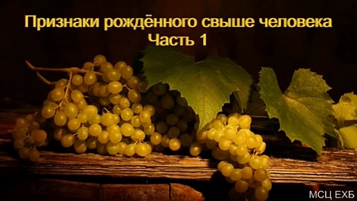 Признаки рождённого свыше человека. Часть 1. Д. Константинов. МСЦ ЕХБ