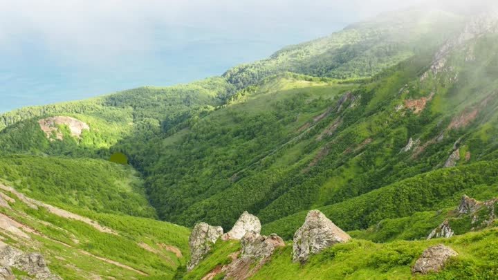 Эко-парк на Дальнем Востоке