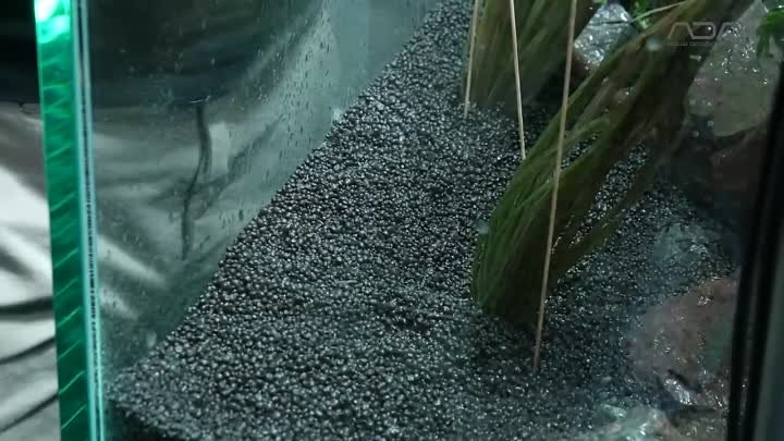 [ADAview] Riverbed of unexplored region 秘境の川底 -W150cm Aquarium Layou ...