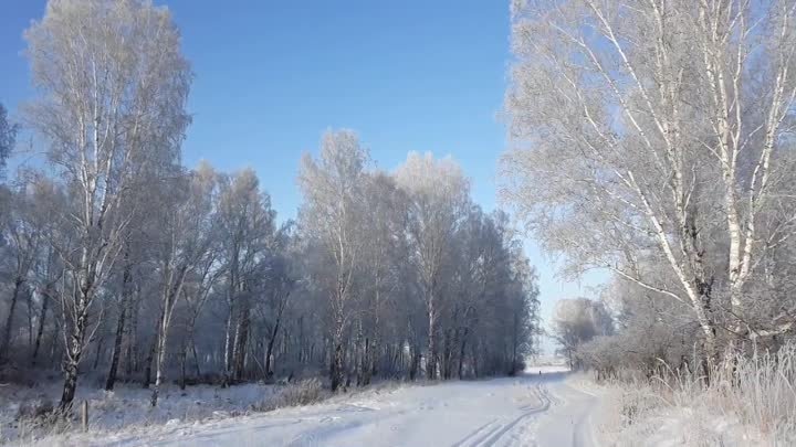 Лидия Майорова  -  Зимняя сказка