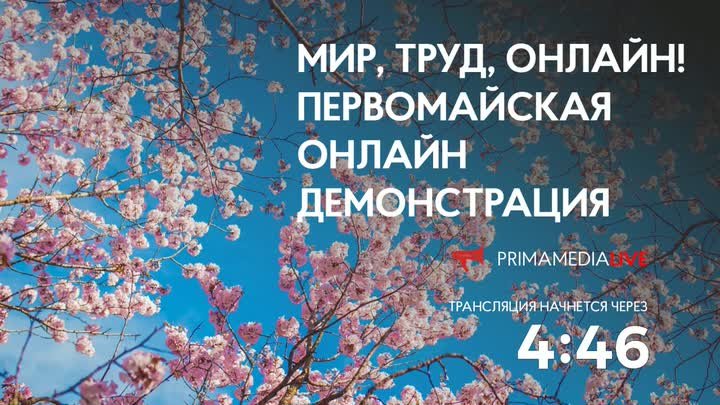 Мир, труд, онлайн: первомайская демонстрация в прямом эфире PrimaMed ...