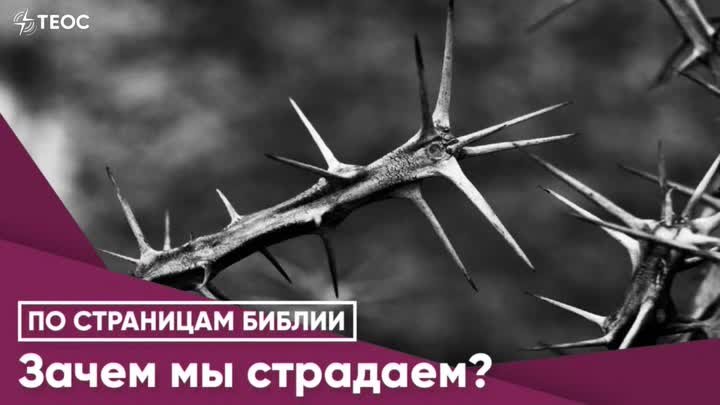 Зачем мы страдаем?