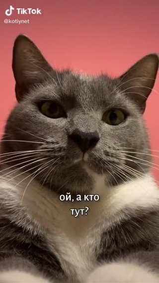 Песенка про тебя сейчас 😺