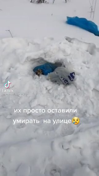 Твори добро