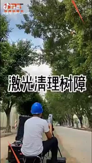 В Китае деревья обрезают с помощью лазера.
