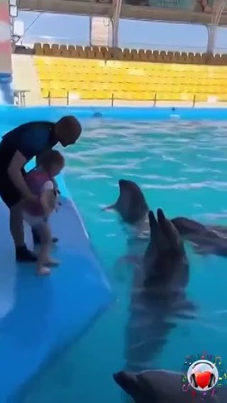 Покатали на дельфине! Ребенок на всю жизнь запомнит эмоции!