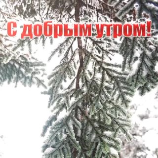 С добрым утром среды☕🍰❄️.