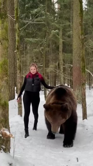 Прогулка с медведем по имени Том