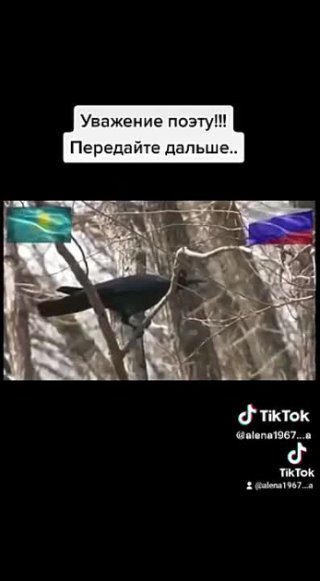 *** Поклон вам всем , российские герои , поклон тебе , несломленная Русь ... Привет нам из Казахстана ... Спасибо автору ... 