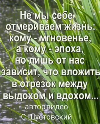 *** Если Бог дал испытания , значит знал , что ты их выдержишь ... Мудрые фразы ...